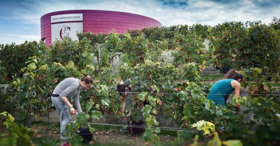 Chinon : Discovery Tours and Wine Tasting - The Bottom Line: Is It Worth It?