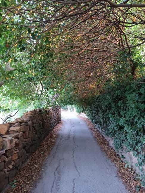 Chios: Kampos Private Walking Tour - What to Expect: From Historic Streets to Citrus Tales