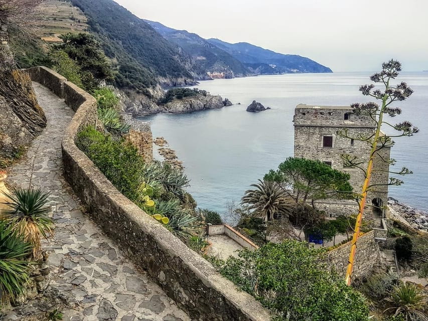 Cinque Terre: Eco Hiking and Wine Tasting - Hiking the Terraces: A Living Museum of Agriculture