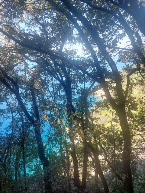 Cinque Terre panoramic hiking from Levanto to Monterosso - Detailed Breakdown of the Itinerary