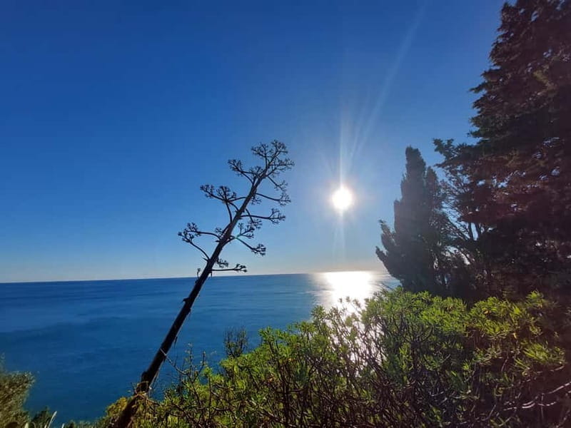 Cinque Terre Villages Walking panoramic tour - Exploring the Cinque Terre in One Day: An In-Depth Review