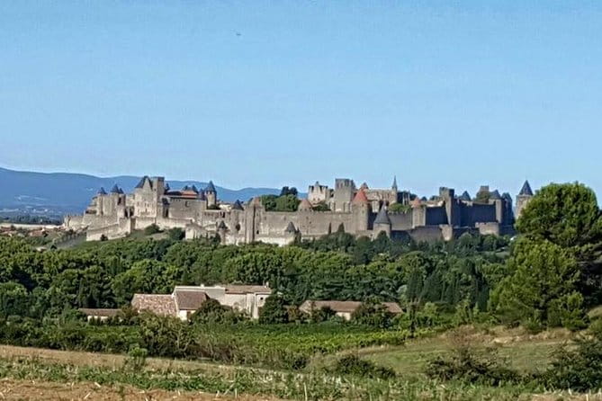 Cité de Carcassonne and Canal du Midi Private Half Day Tour from Toulouse - Who Should Consider This Tour