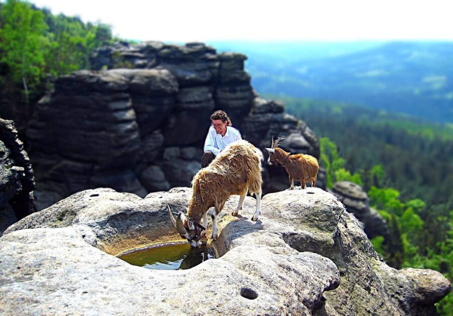 Climb the mountains together with goats - Why This Tour Is Worth Considering