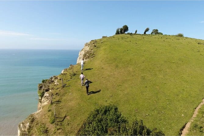 Coast, fish and txakoli wine - Price and Logistics: Worth the Investment?