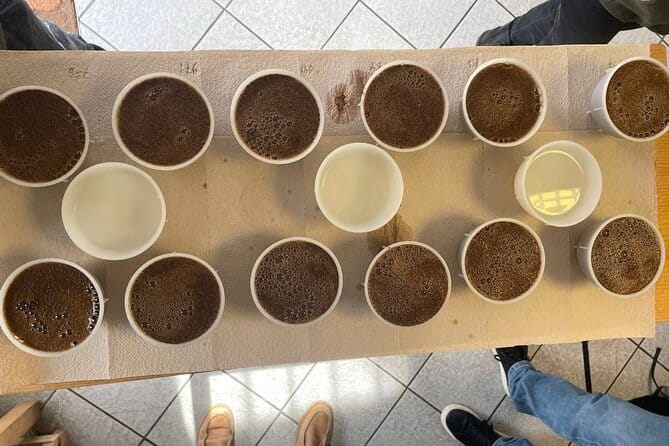 Coffee Sensory Training in Ljubljana - Frequently Asked Questions