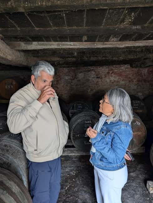 Cognac guided tour of the vineyard and visit/tasting at a winemaker's estate - Price, Logistics, and Value