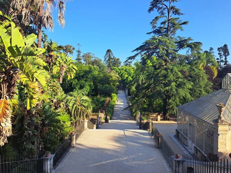 Coimbra Botanical Garden Tour: Storytelling Through Nature - Exploring the Botanical Garden: What You’ll See and Learn
