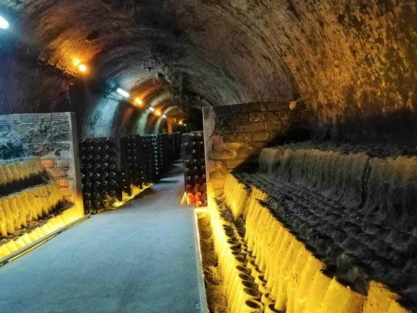 Coimbra: Rota da Bairrada gastronomic tour - Transportation and Practicalities