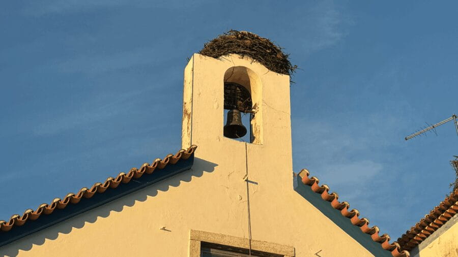 COMPORTA: LAND ROVER PREMIUM TOUR | PICNIC & DRONE INCLUDED - What to Expect and Who This Tour Suits Best