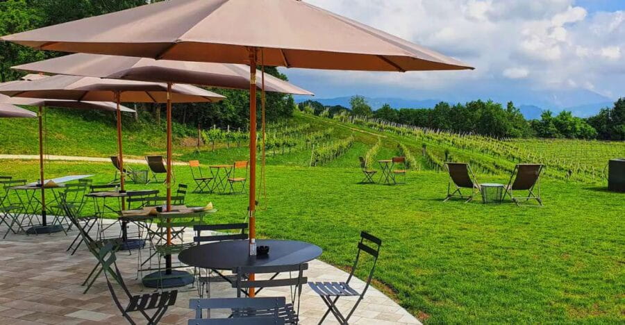 Conegliano: Prosecco Hills and Vineyards tour - FAQ