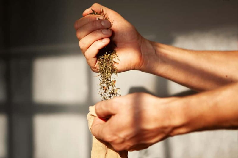 Copenhagen: Locally Brewed Kombucha Tasting Experience - Exploring Copenhagen’s Kombucha Scene: A Closer Look