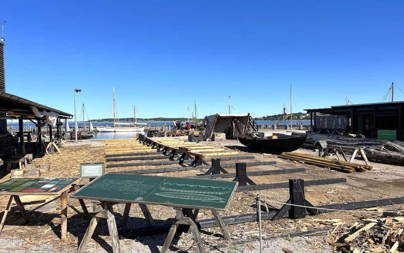 Copenhagen: Roskilde, the Viking City Tour in English - The Itinerary: What You Will See and Do