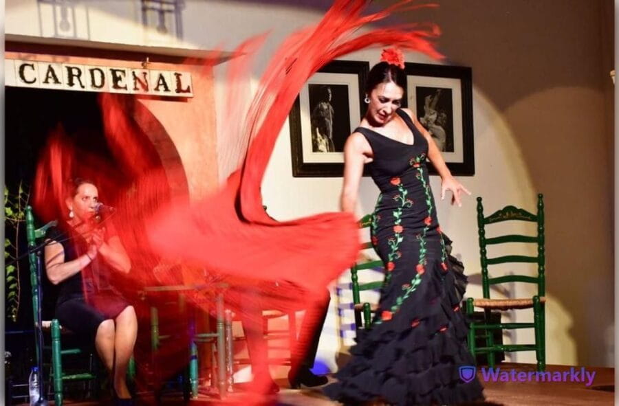 Córdoba: Flamenco Show Ticket with Drinks - The Artistic Breakdown: Dance, Song, and Guitars