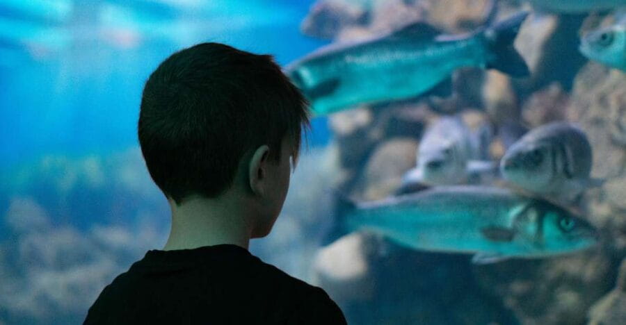 Corfu: Aquarium Entry Ticket with Guided Tour - FAQ