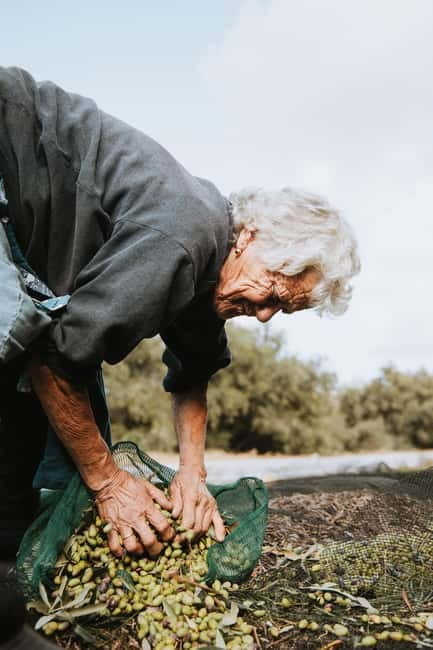 Corfu: Guided Olive Groves Tour with Olive Oil Tasting - Exploring Corfu’s Olive Groves: A Walk Through Heritage and Flavor