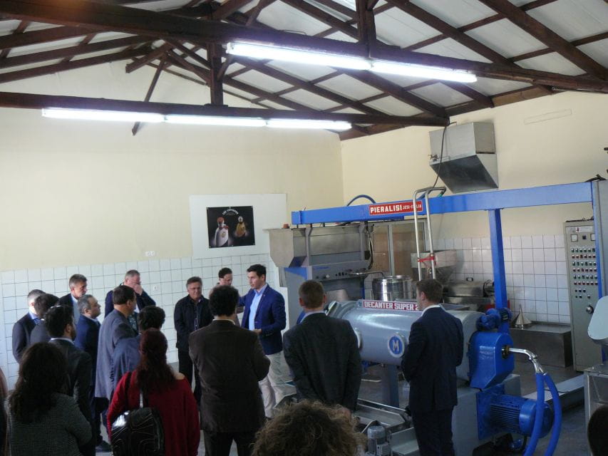 Corfu: Olive Oil Experience - The Governor's Olive Mill - Who Will Love This Tour?