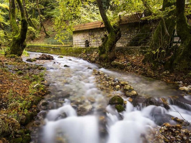 Corinth: Kalavryta and Cog Railway Day Tour - Practical Details and Value