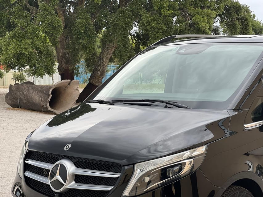 Cork Factory, Wine Tasting & Évora Visit - Savoring the Wines of Alentejo