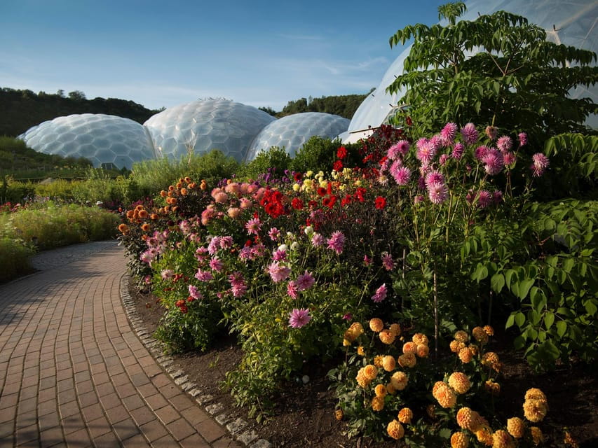 Cornwall: Eden Project Entry Ticket - Practical Details: What to Expect