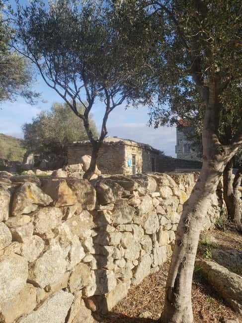 Corsica: Organic wine tasting - What You’ll Learn: Organic Wine Making & Corsican Heritage