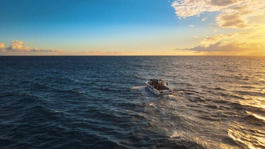 Costa Adeje: Whale and Dolphin-Watching Boat Excursion - What It Feels Like on Board