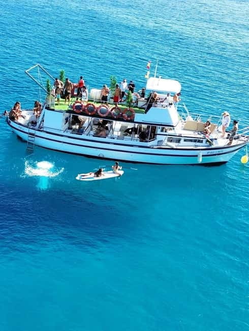 Costa Calma: Fuerteventura Dolphin Watching Boat Tour - Who Will Love This Tour?