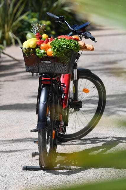 Côte d'Azur: E-Bike Rental - The Itinerary in Detail: What to Expect