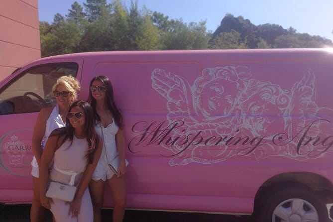 Côtes de Provence Wine Day Tour : 7 hours - Price and Logistics: Is It Worth It?