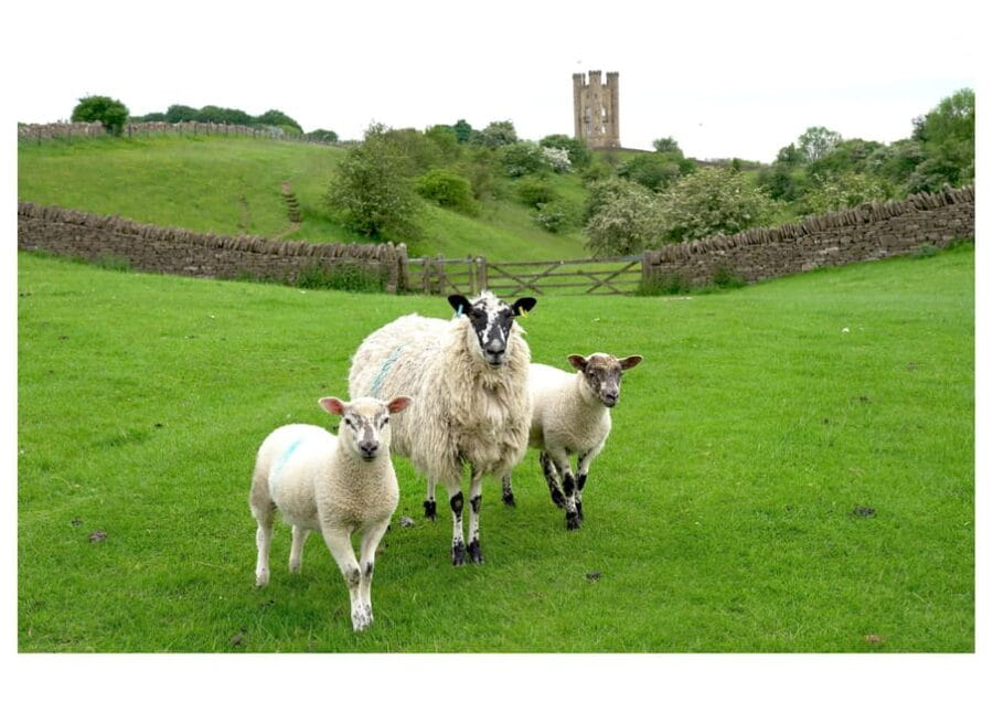 Cotswolds Villages & Countryside: Private Luxury Tour - Exploring the Villages: What to Expect