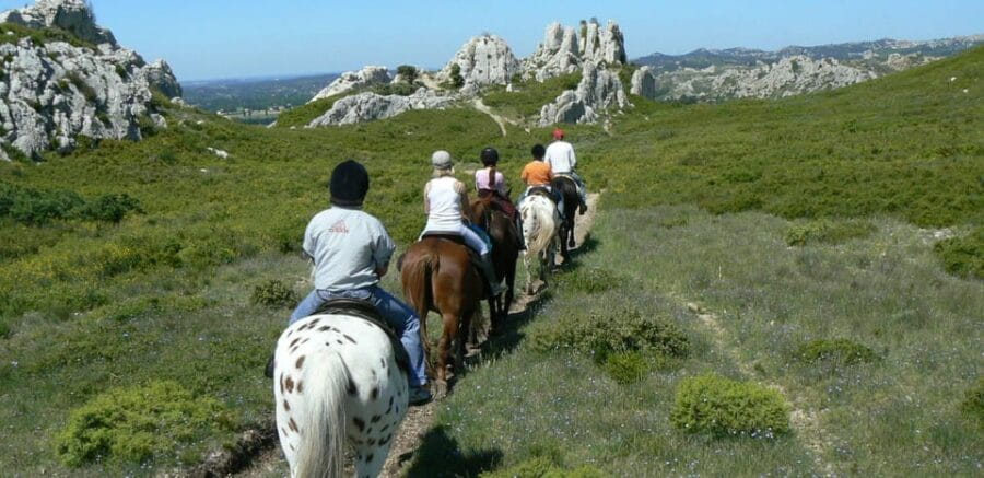 Countryside Immersion with Horseback Ride in Sainte Victoire - Price and Logistics: Is It Worth It?