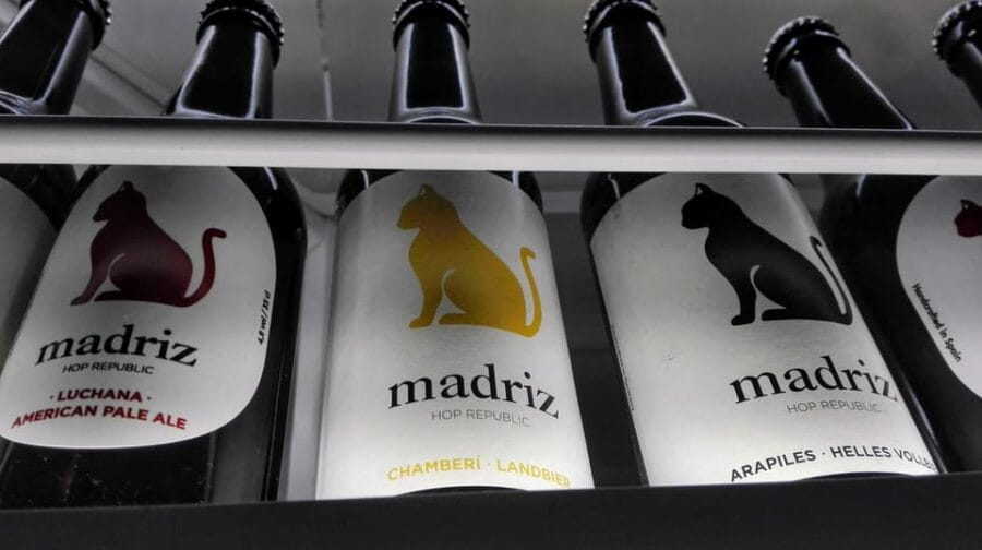 Craft-Beer and Tapas Tour in Madrid - What to Expect: Practical Details and Experience Quality