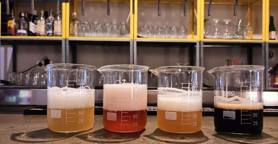 Craft Beer Tasting and tapas in Valencia - Price, Logistics, and What You’re Paying For