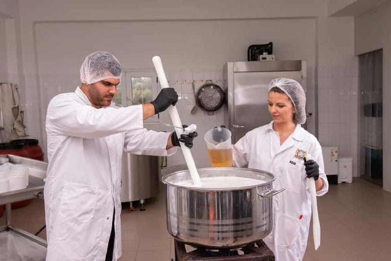 Crete: Farm Visit with Cheese Tasting and Milking Experience - Hands-On Cheese Making — From Milk to Cheese