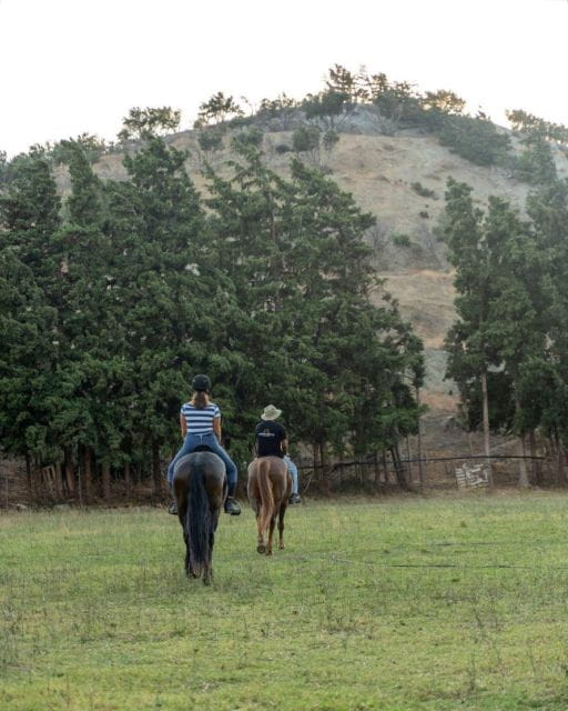 Crete Horse Riding: Cretan Countryside Ride - The Quiet, Peaceful Ride