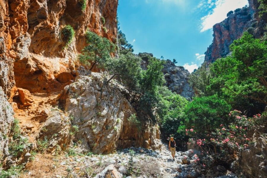 Crete: Kritsa Gorge Hike with Picnic & Swim Stop - What Makes the Landscape Special?