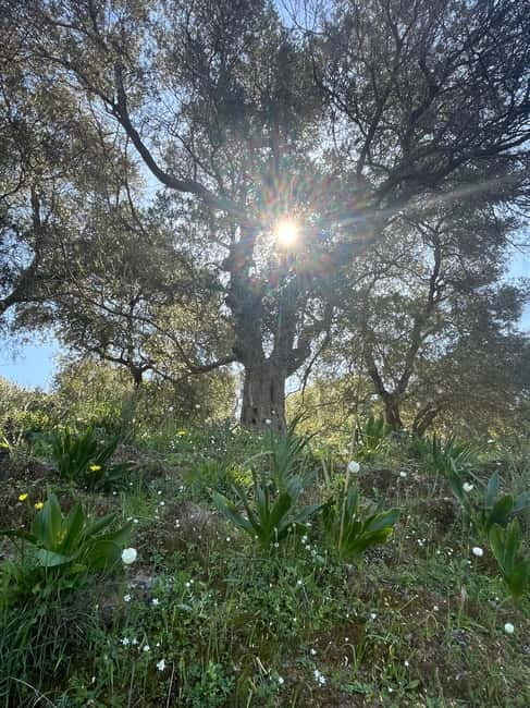 Cretes Secret Trail: Agia Irini Gorge & Sougia Escape - Exploring Agia Irini Gorge in Detail