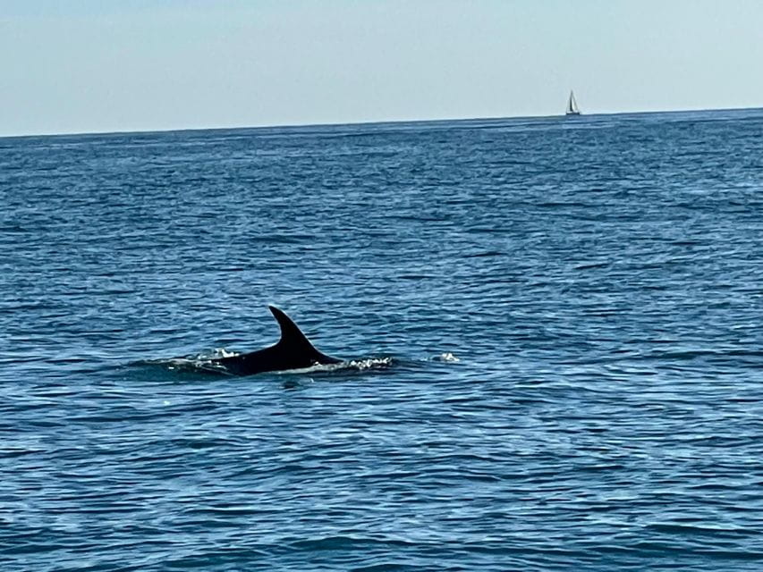 Cruise:Portovenere and the 3 islands with aperitif included! - FAQ