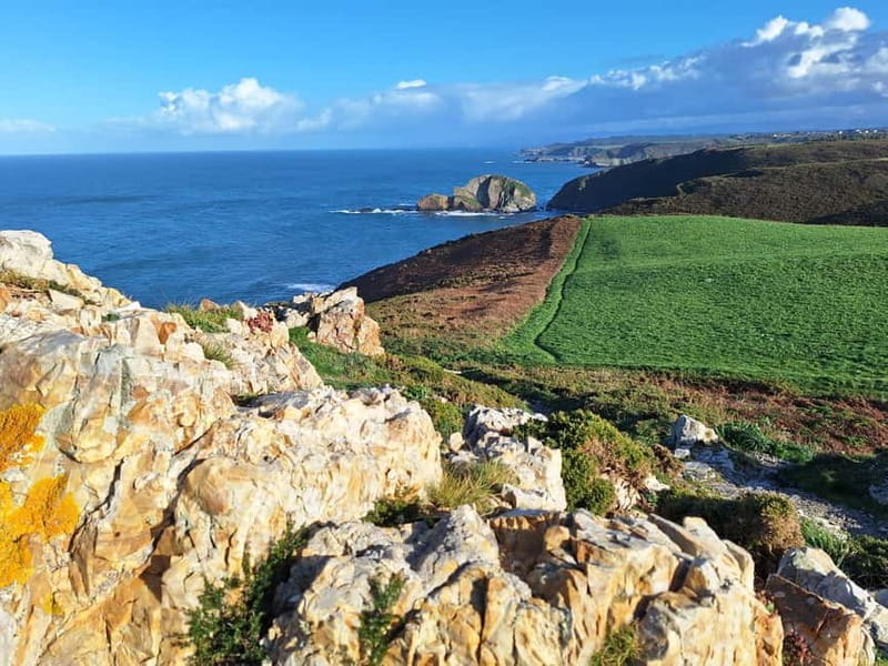 Cudillero, Aviles and Faro de Cabo Peñas tour from Oviedo - Exploring Asturias’ Coast: An In-Depth Review
