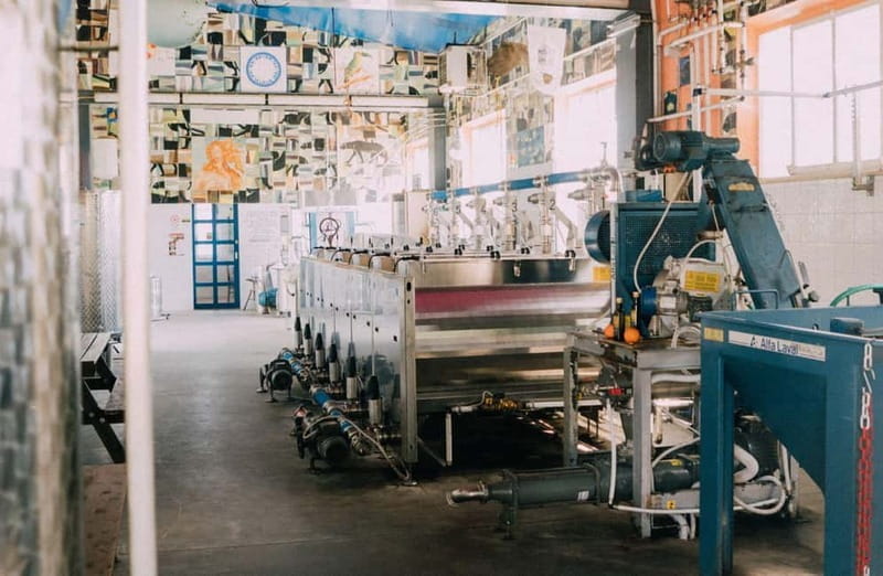 Cured Meat & Olive Oil Tasting & Visit near Pisa & Livorno - The Cinta Senese: Tuscan Pigs with a Story