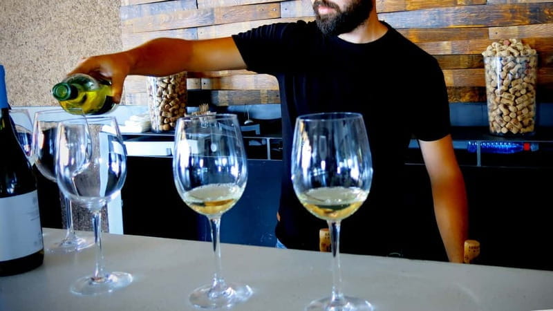 Cyprus: Troodos Mountain Wine Tour with a Local - Transportation, Duration, and Group Atmosphere