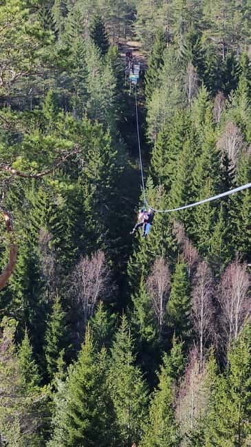 Dals Långed: Zipline Adventure at Steneby Gård - Who Is This Zipline Perfect For?