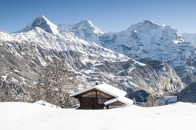 Day Sledding in Interlaken - Practical Considerations: Logistics and Tips