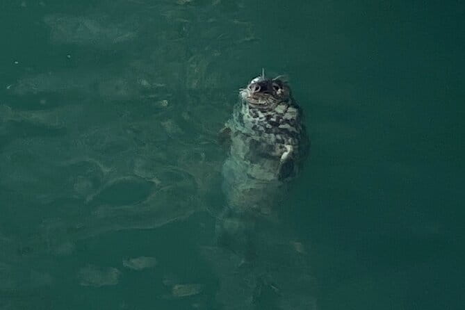 Day Tour from Dublin to Wicklow: Cliffs, Heritage, Wildlife, Gaol - Practical Details and What You’ll Value