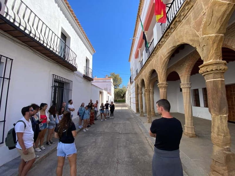 Day trip from Seville: Extremadura's Sistine Chapel and Llerena - The Guided Tour and Free Time in Llerena