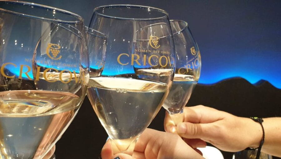 Day trip to Moldova - visit Chisinau and Cricova Winery - Who Will Love This Tour?