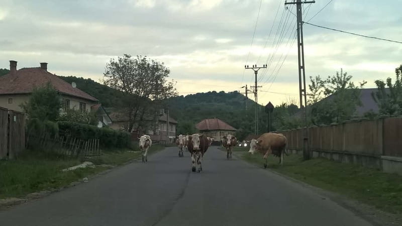 Day Trip to the Land of Hidden Caves - What to Expect on the Day