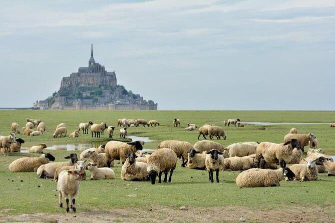 Day Trip with a local driver Mont Saint-Michel from Saint-Malo - 6 hours - The Sum Up: Who Should Consider This Tour?