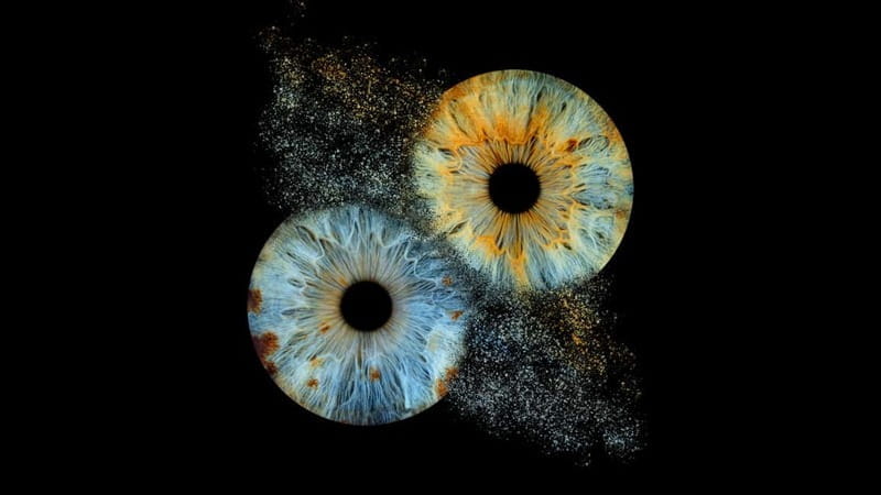 Deauville: Reveal the beauty of your iris with Iris Galerie - What to Expect During Your Session