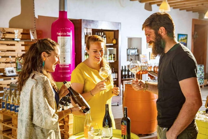 Dégustation Terroir : Journey to the heart of Domaine Castan's flavours - How the Experience Breaks Down