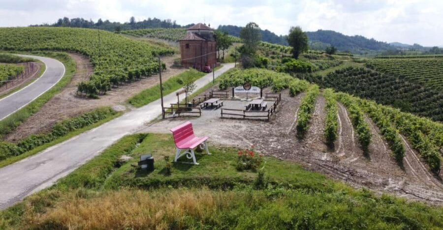 Degustazione di vini del Monferrato con visita della cantina - Guided Vineyard and Winery Tour: Behind the Scenes